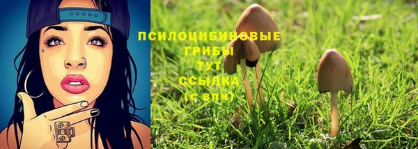 ешки Алзамай