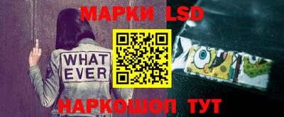 стафф Владимир