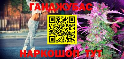 стафф Владимир