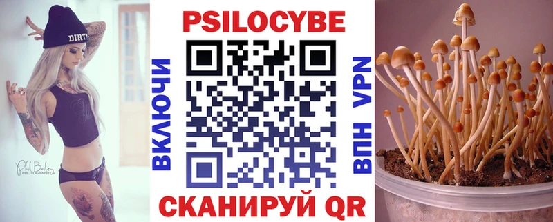 купить закладку Владикавказ сайты даркнета формула Галлюциногенные грибы прущие грибы