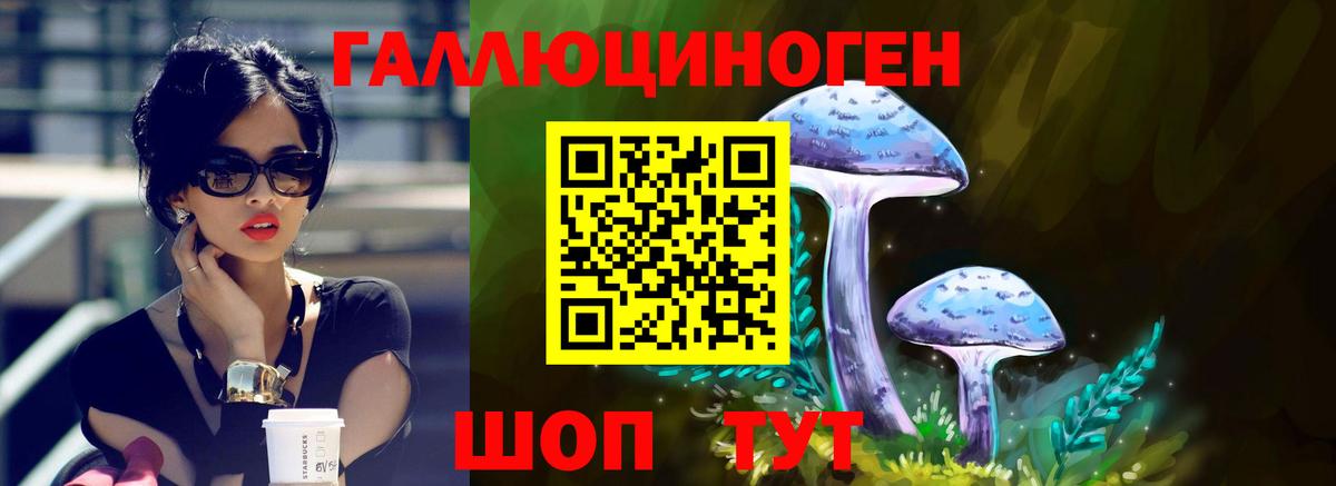 Псилоцибиновые грибы Cubensis  Вход с VPN  Владикавказ 