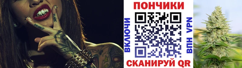 Бошки Шишки ГИДРОПОН  продажа наркотиков  Владикавказ 
